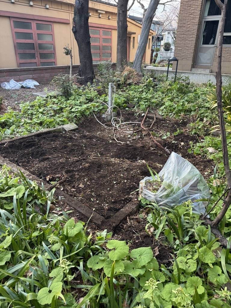 Image - 2026-03-11T200451.650